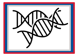 Grade 12 Chapter – Genetics