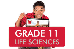 Grade 11 LIFE SCIENCES Classroom