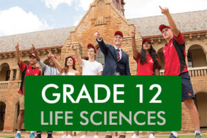 Grade 12 LIFE SCIENCES Classroom