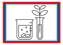 Grade 12 Chapter – Plant Hormones