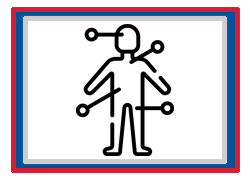 Grade 12 Chapter – Endocrine System and Homeostasis
