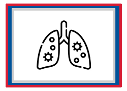 Grade 11 Chapter – Respiratory System
