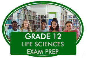 Grade 12 Life Sciences Exam Preparation